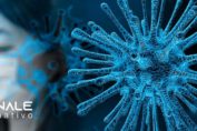 coronavirus italia i fatti da conoscere