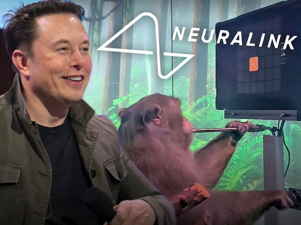 La scimma di Elon Musk per il progetto Neuralink
